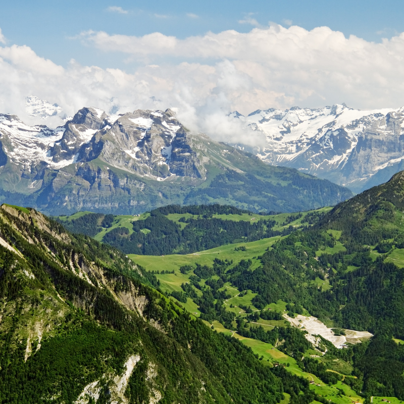 Swiss Alps